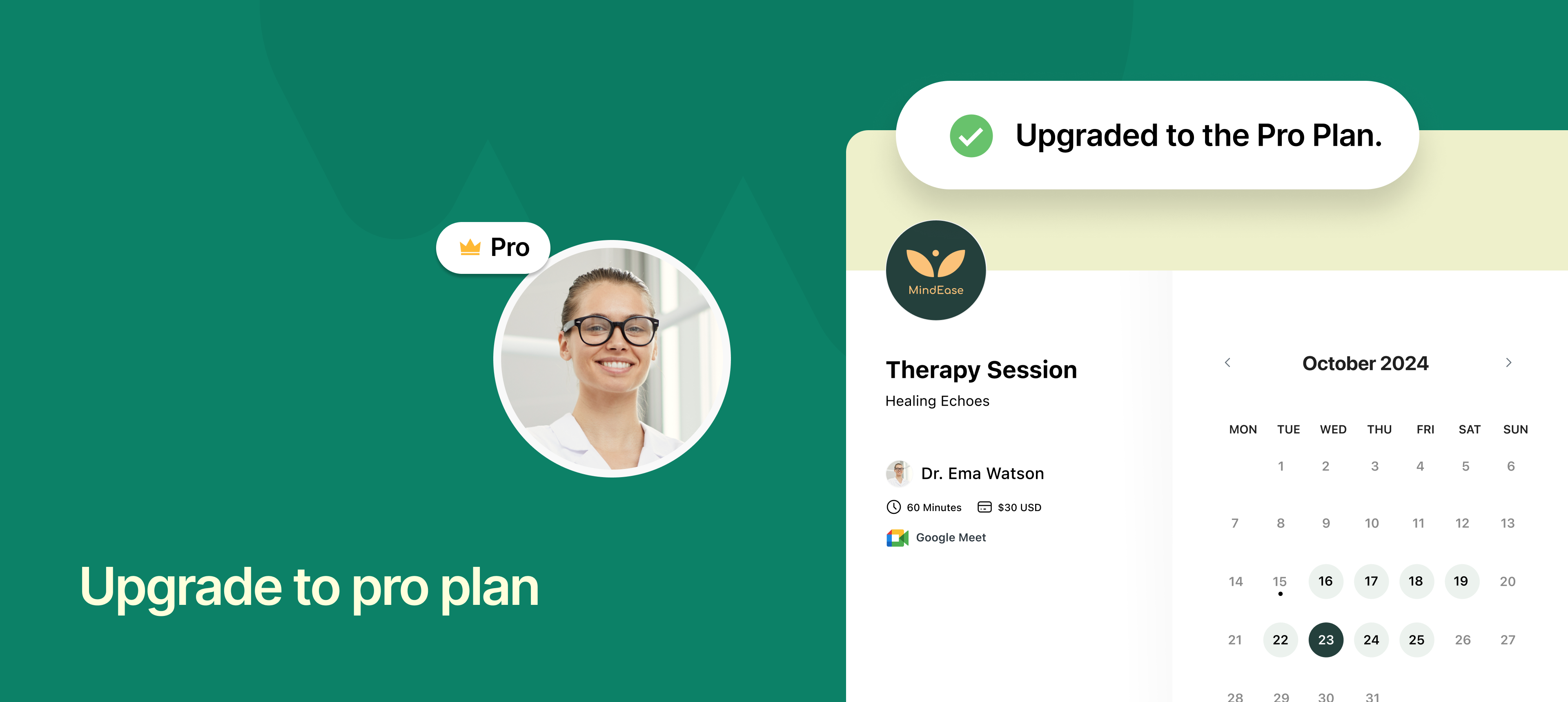 Upgrade to pro plan.png